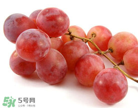 提子上的白色是什么？提子外面白色的是什么？