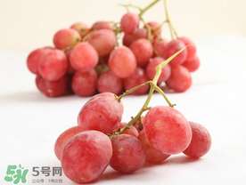 提子上的白色是什么？提子外面白色的是什么？