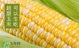 水果玉米是轉(zhuǎn)基因的嗎？水果玉米可以生吃嗎