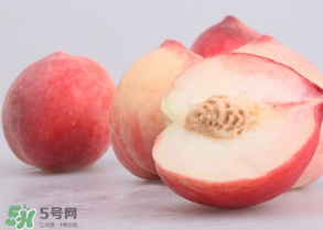 水蜜桃可以和酸奶一起吃嗎？水蜜桃酸奶的做法