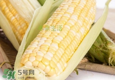 水果玉米多少錢一斤2017？水果玉米市場價(jià)格