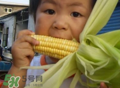 水果玉米是甜玉米嗎？水果玉米和甜玉米的區(qū)別