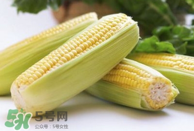 水果玉米可以多吃嗎？吃水果玉米有什么好處
