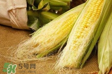 玉米須煮水可以去黃疸嗎？玉米須能去新生兒黃疸嗎