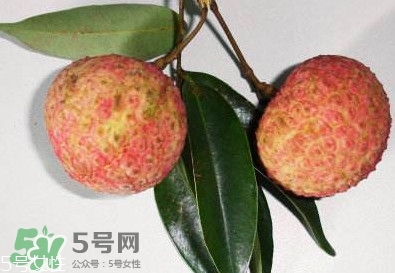 雞嘴荔枝多少錢一斤2017？香山雞嘴荔枝什么價(jià)錢