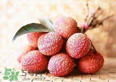 貴妃荔枝是哪里的？貴妃荔枝的產(chǎn)地是哪里