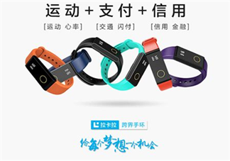 拉卡拉手環(huán)多少錢？拉卡拉手環(huán)價格