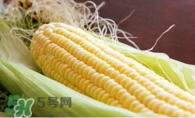 水果玉米是甜玉米嗎？水果玉米和甜玉米的區(qū)別