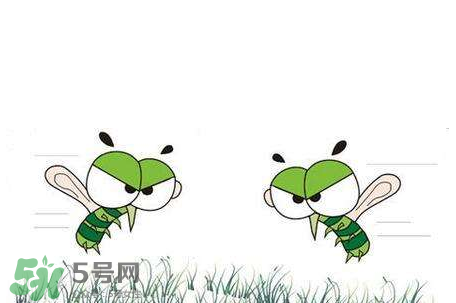 招蚊子是什么原因？招蚊子體質(zhì)怎么辦？