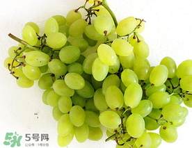 青提什么時(shí)候成熟？青提什么時(shí)候上市？