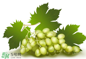 青提不能和什么一起吃？青提哪些人不能吃？