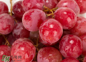 提子什么季節(jié)成熟？提子什么時(shí)候上市？