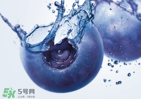 藍(lán)莓熱量高嗎？藍(lán)莓醬熱量高嗎？