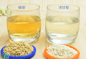 美林菊花晶一天喝幾次？美林菊花晶一天喝多少？