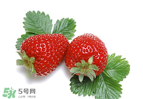 夏天有草莓嗎？夏天草莓結(jié)果嗎？