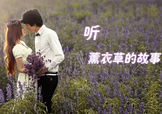 六月份還有薰衣草嗎？6月份哪里有薰衣草？
