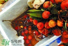 荔枝為什么要用藥水泡？荔枝藥水浸泡是否安全？