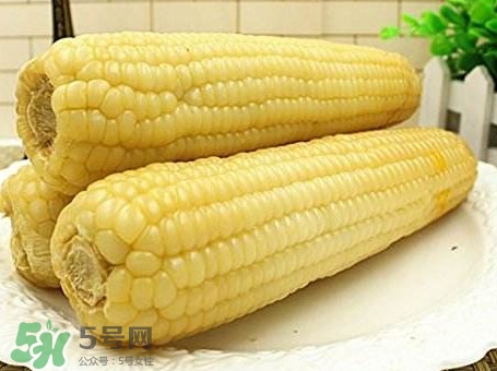 糯玉米有哪些營養(yǎng)？糯玉米可以減肥嗎