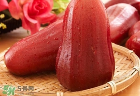 蓮霧什么季節(jié)吃最好？什么品種的蓮霧最好吃