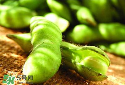 六月份可以種毛豆嗎？六月份毛豆怎么種植？