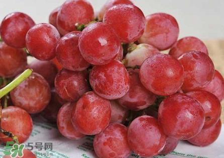 提子為什么會澀？提子澀怎么辦是沒熟嗎？