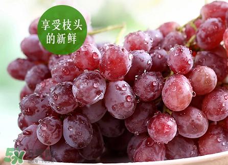 提子為什么會澀？提子澀怎么辦是沒熟嗎？