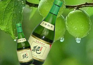 青梅酒泡多久可以喝？青梅酒好喝嗎？