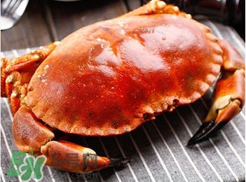 面包蟹是哪里產(chǎn)的？面包蟹哪里不能吃圖解
