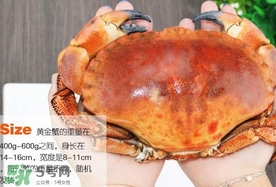 速凍面包蟹如何處理？活面包蟹怎么處理清洗