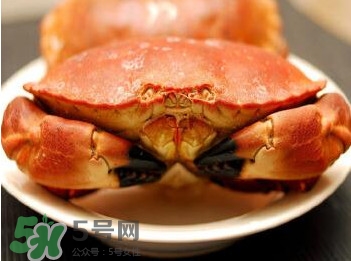 熟凍面包蟹怎么解凍？熟凍面包蟹要怎么清洗