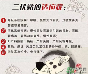 三伏貼能治什么??？三伏貼能治哪些??？