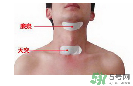 三伏貼貼在什么位置？三伏貼貼哪里？