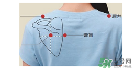 三伏貼貼在什么位置？三伏貼貼哪里？
