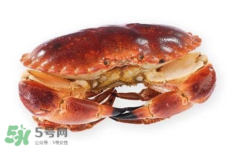 怎么判斷面包蟹是否新鮮？怎樣鑒別面包蟹的質(zhì)量好壞