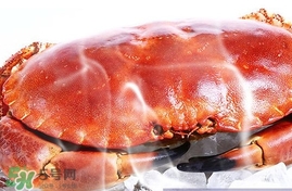速凍面包蟹如何處理？活面包蟹怎么處理清洗
