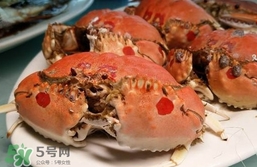 面包蟹什么季節(jié)吃最好？面包蟹什么時候最有黃