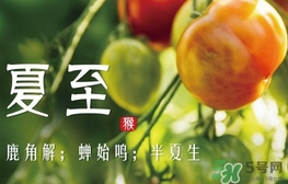 夏至是什么意思？夏至的習(xí)俗有哪些