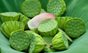 新鮮蓮子什么時候有？新鮮蓮子幾月有？