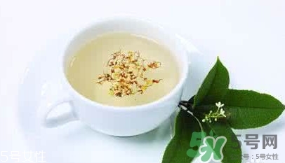 葛根茶多少錢一盒？2017葛根茶價格