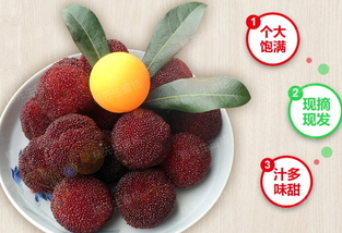 楊梅泡酒能放多久？楊梅酒保質(zhì)期