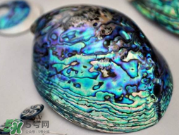 nike air foamposite one abalone鮑魚噴多少錢？