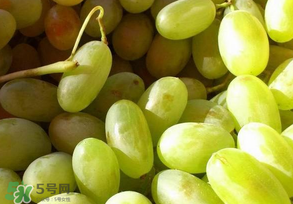 馬奶葡萄怎么保存？馬奶葡萄保存方法