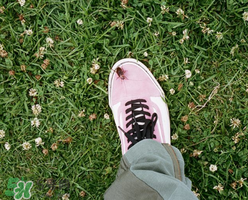 stussy與vans2017春夏系列聯(lián)名鞋子什么時(shí)候發(fā)售？
