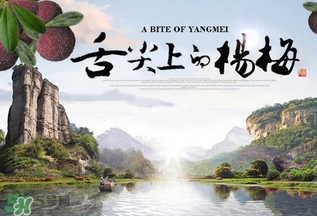 楊梅發(fā)霉了還能吃嗎？吃了發(fā)霉的楊梅會怎樣？