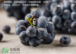 無籽葡萄孕婦能不能吃？無籽葡萄和葡萄的區(qū)別