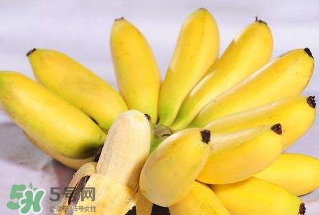 芭蕉可以治便秘嗎？芭蕉的功效與作用