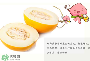 黃金瓜熱量高嗎？黃金瓜會胖嗎？