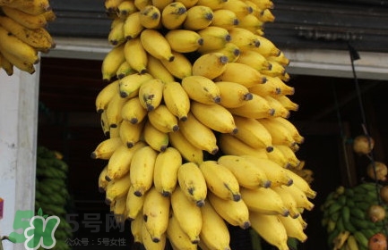 芭蕉不熟可以吃嗎？芭蕉怎么催熟