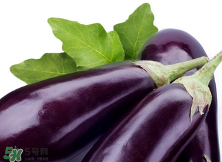 茄子怎么挑選？如何挑選茄子？