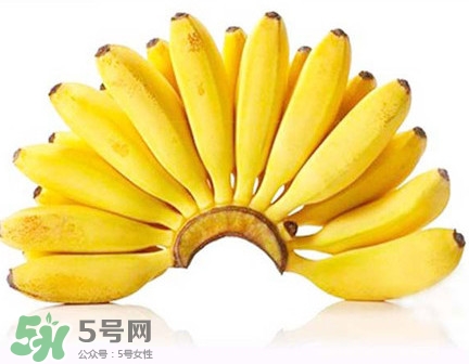 芭蕉是香蕉嗎？芭蕉和香蕉的區(qū)別